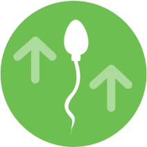 Higher sperm quality icon. better fertility, better pregnancy success.